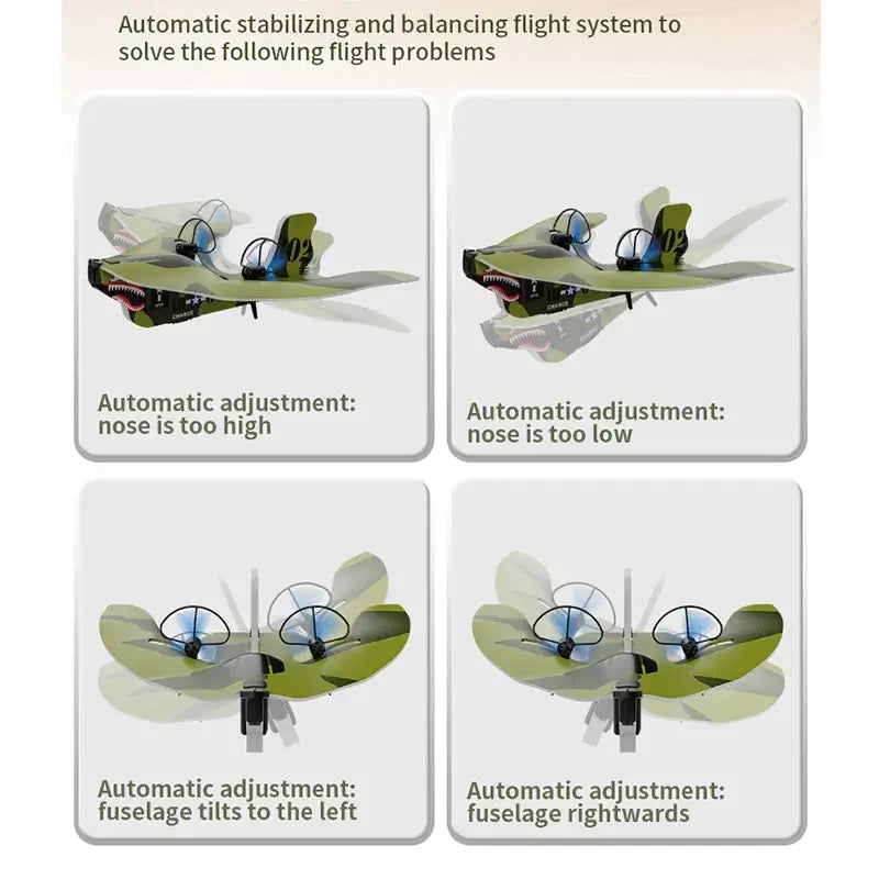RC Plane 2.4G Remote Control Airplane Sportsman Specialty Products