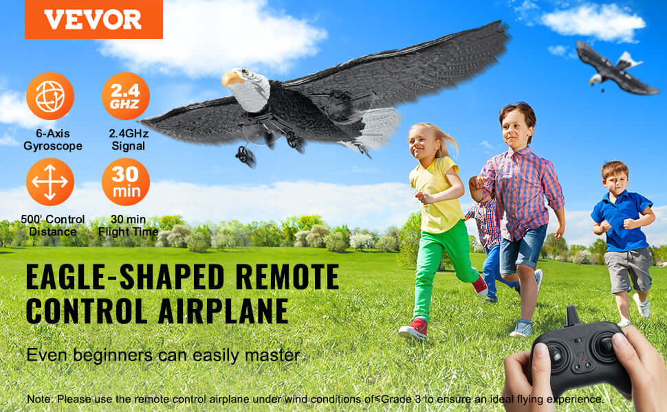VEVOR RC Plane Wingspan Eagle Aircraft Fighter Sportsman Specialty Products
