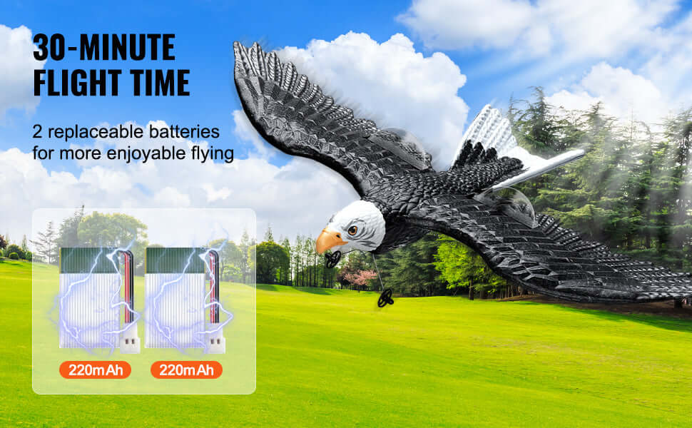 VEVOR RC Plane Wingspan Eagle Aircraft Fighter Sportsman Specialty Products