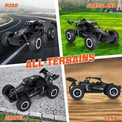 RC Car 116 2.4G High-Speed 2WD Off-Road(Model DK087)