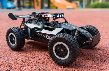 Rc Cars 1:16 2WD Off-Road RC Truck All Terrain