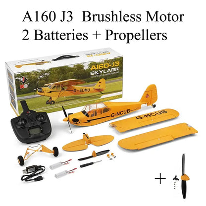 RC Plane RTF 2.4G Brushless Motor 3D/6G Remote Control Airplane