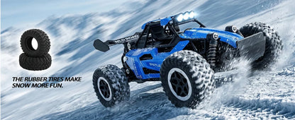 Rc Cars 1:16 2WD Off-Road RC Truck All Terrain