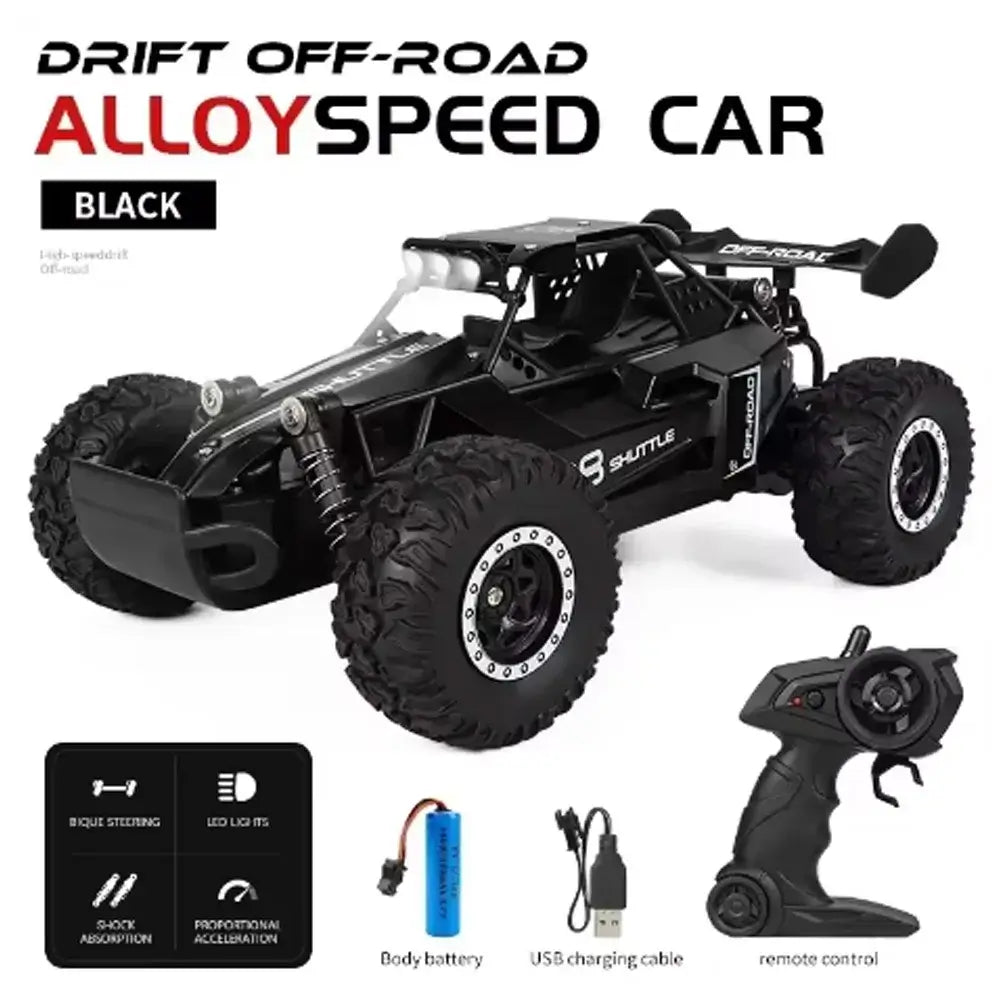 RC Car 116 2.4G High-Speed 2WD Off-Road(Model DK087)