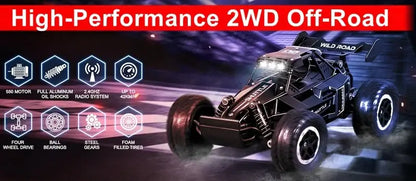 High-Performance 2WD Off-Road 116 RC Car Remote Control Car with features like aluminum oil shocks and foam tires.