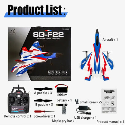 RC Plane F22 Stunts Plane 2.4G Radio Control Glider