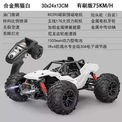 High-Speed RC Car Toy - Electric Off-Road Racing 4WD Proportional Control 75-100km/h Sportsman Specialty Products