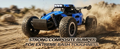 Rc Cars 1:16 2WD Off-Road RC Truck All Terrain