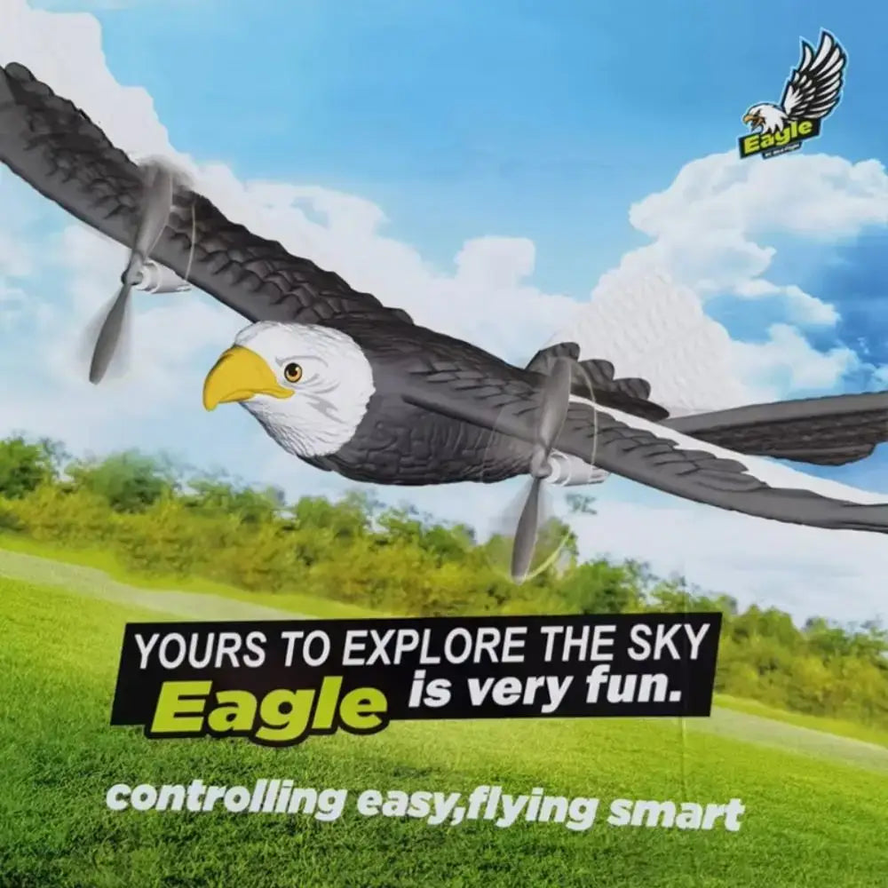 EPP Foam RC Eagle Aircraft Fighter RC Drones Gravity Sensing Eagle