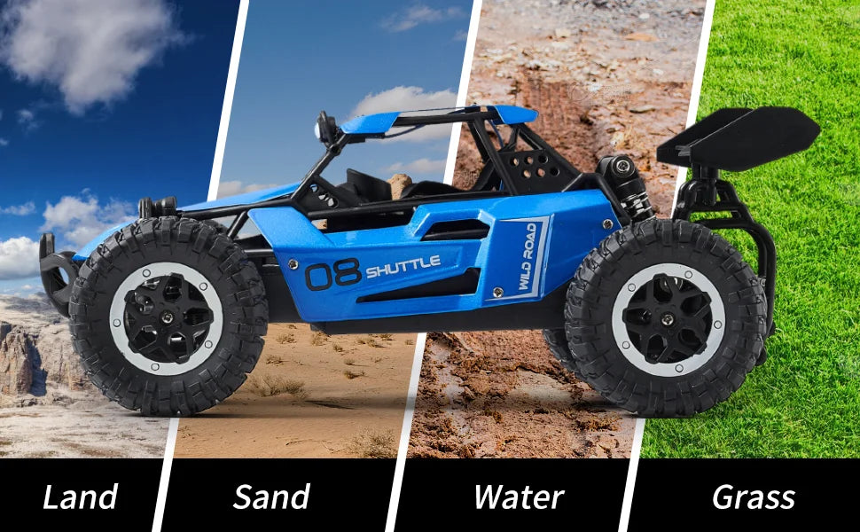 Rc Cars 1:16 2WD Off-Road RC Truck All Terrain