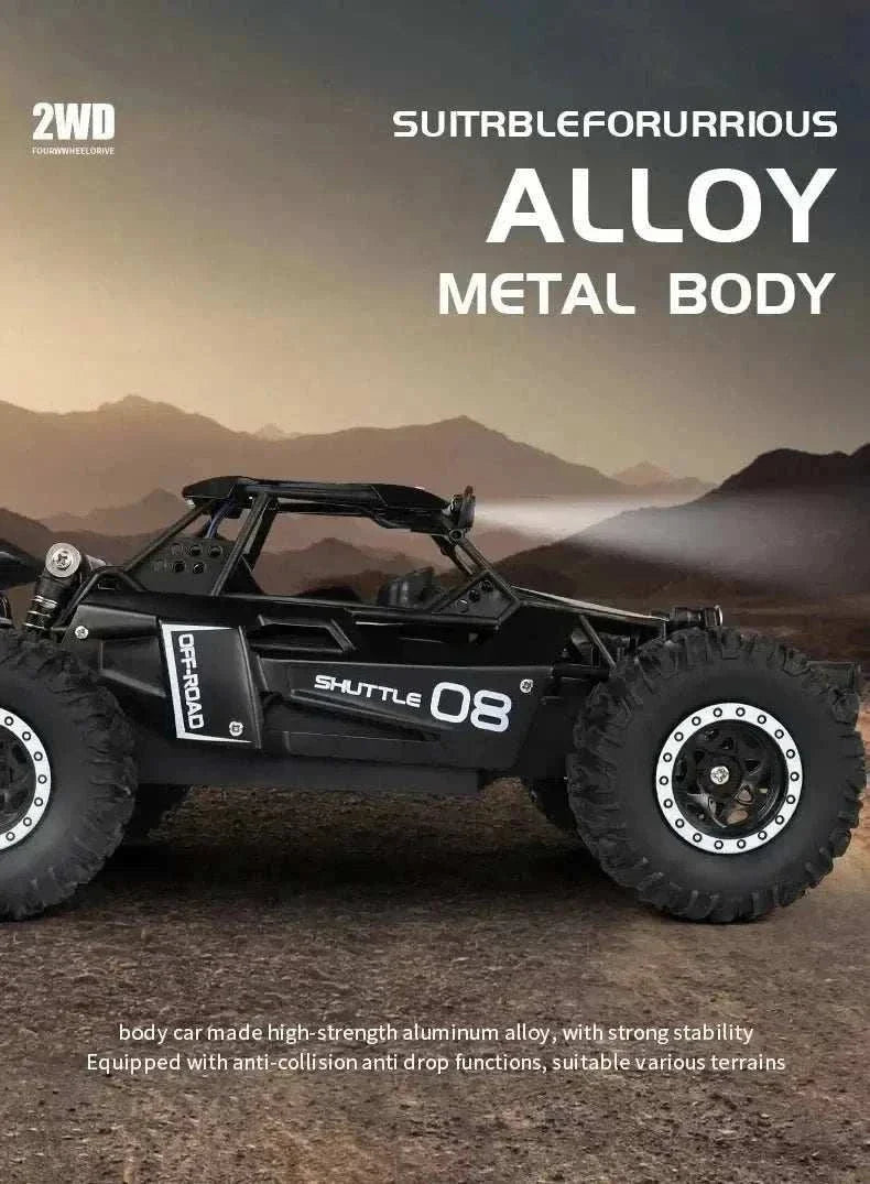 116 RC car remote control 2wd radio buggy truck for kids outdoor racing